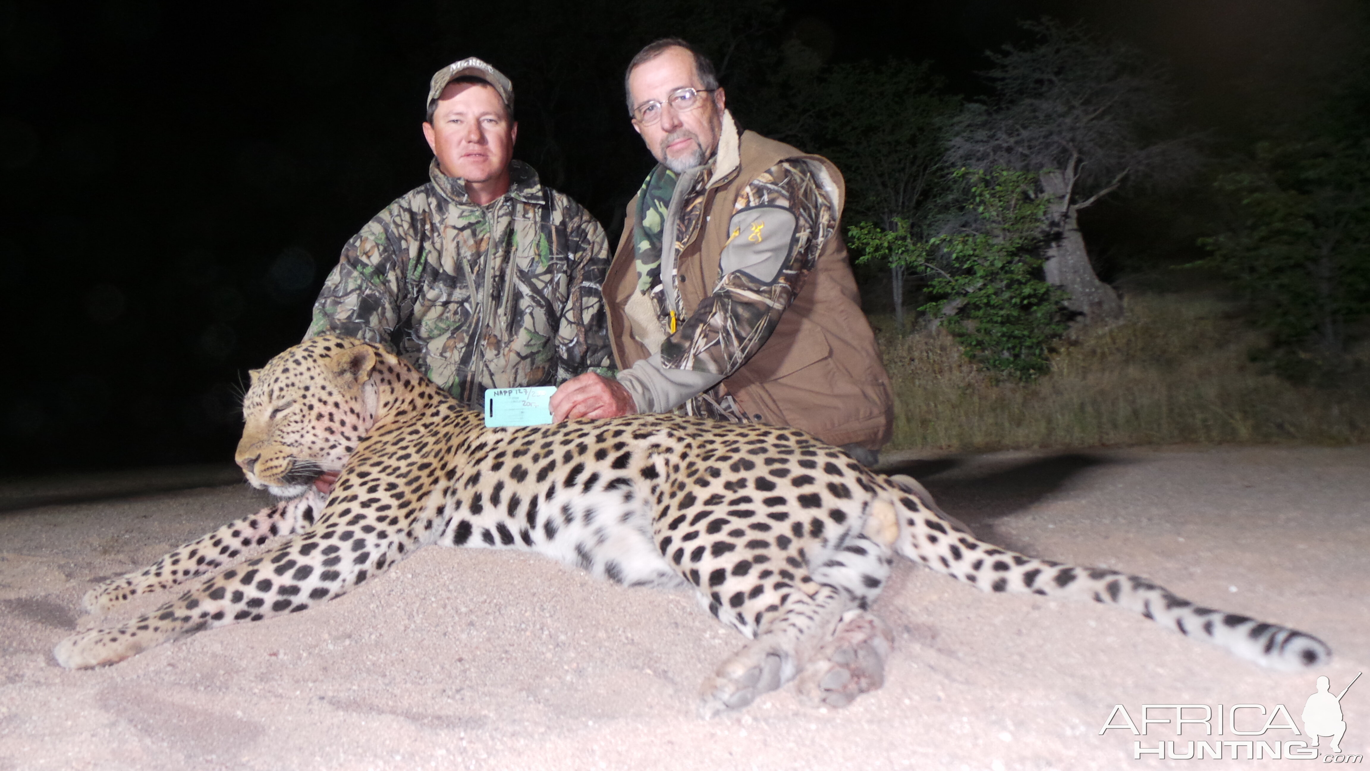 Leopard Namibia