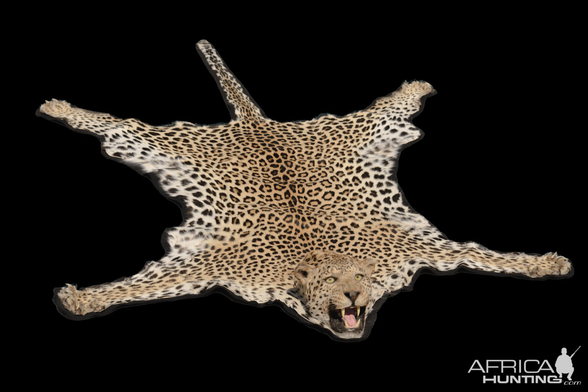 Leopard Skin Rug