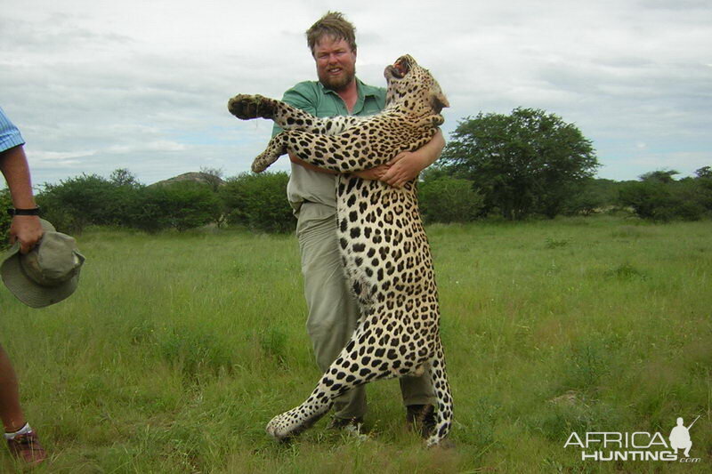 Leopard South Africa Hunt