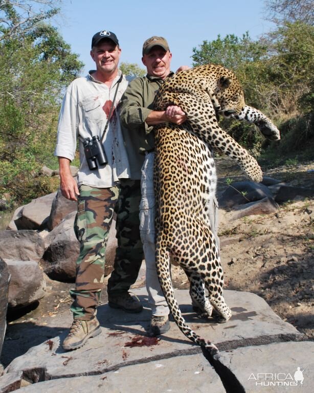 Leopard Tanzania  Hunt