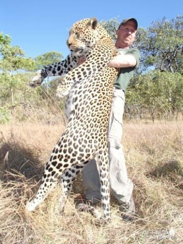 Leopard Tanzania Hunt