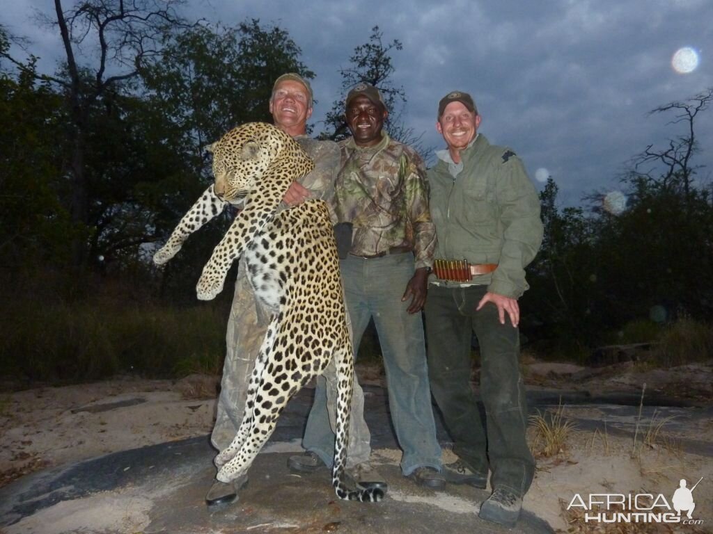 Leopard Tanzania Hunt