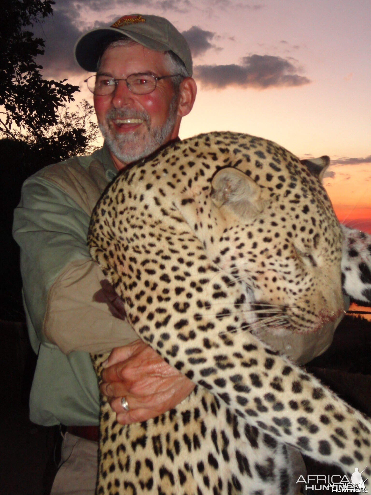 Leopard Tanzania