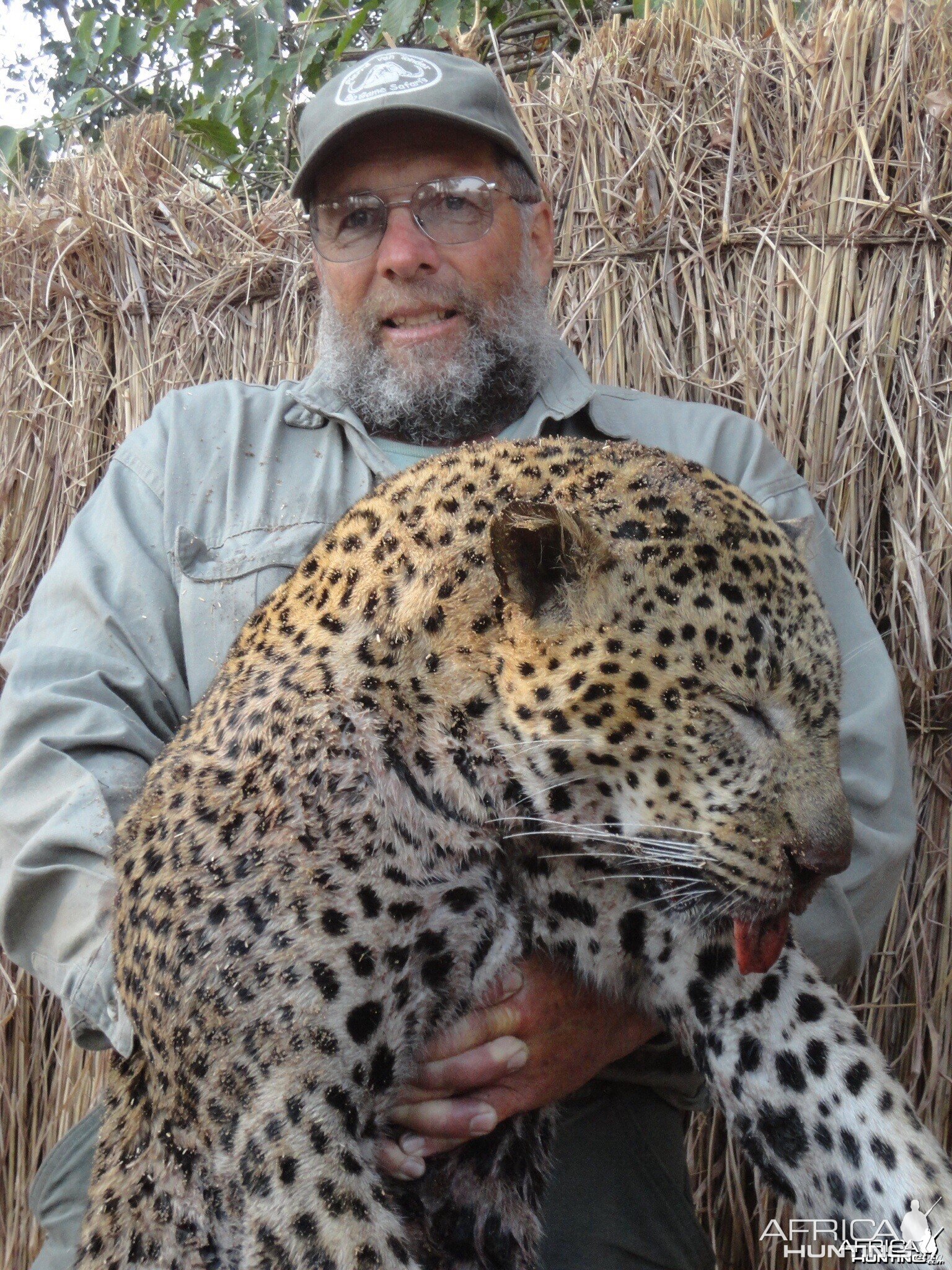 Leopard Tanzania