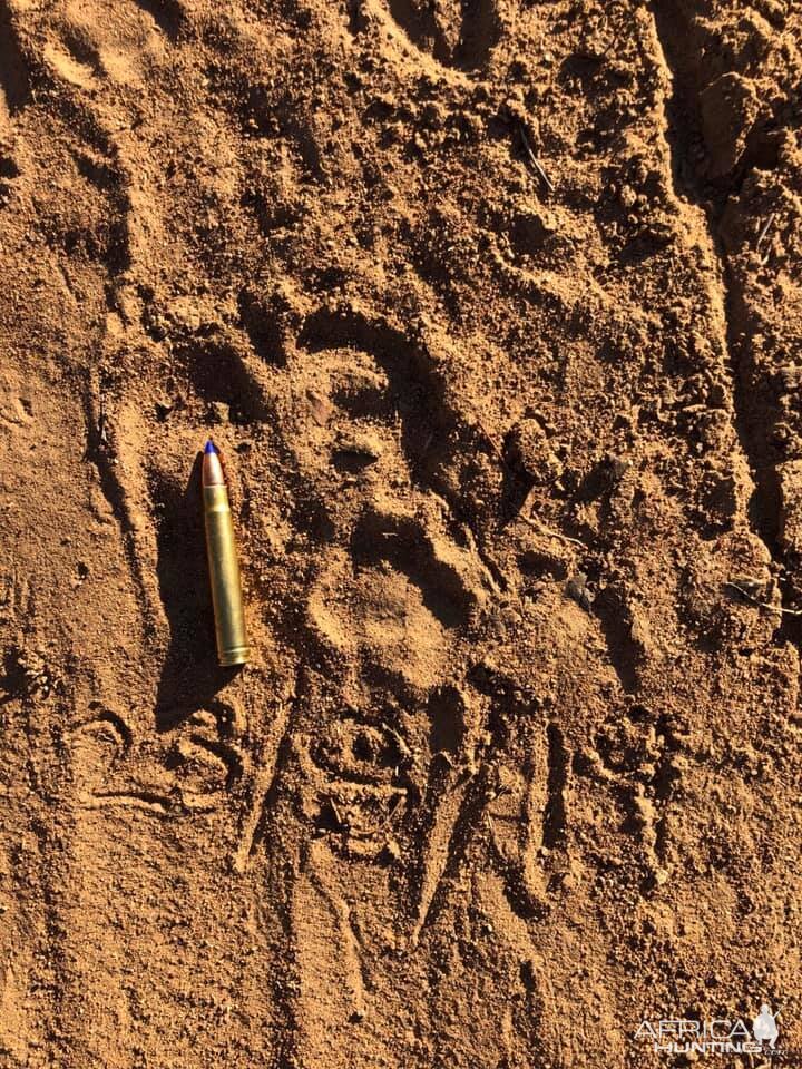 Leopard Tracks Zimbabwe