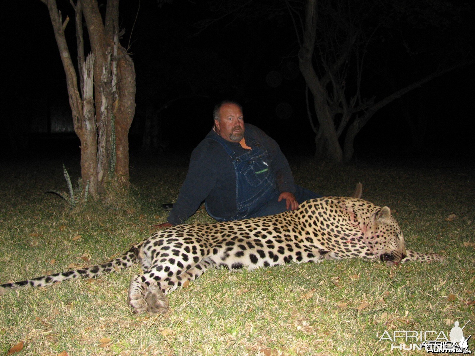 LEOPARD TROPHY SHOT IN WOODLANDS