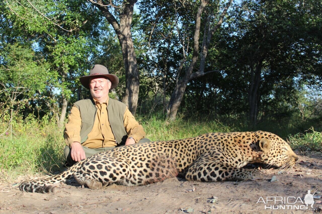 Leopard Zimbabwe Hunting