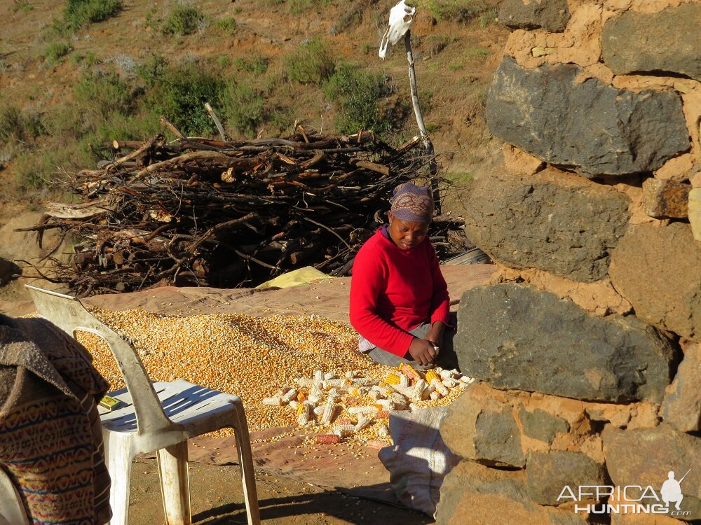 Lesotho