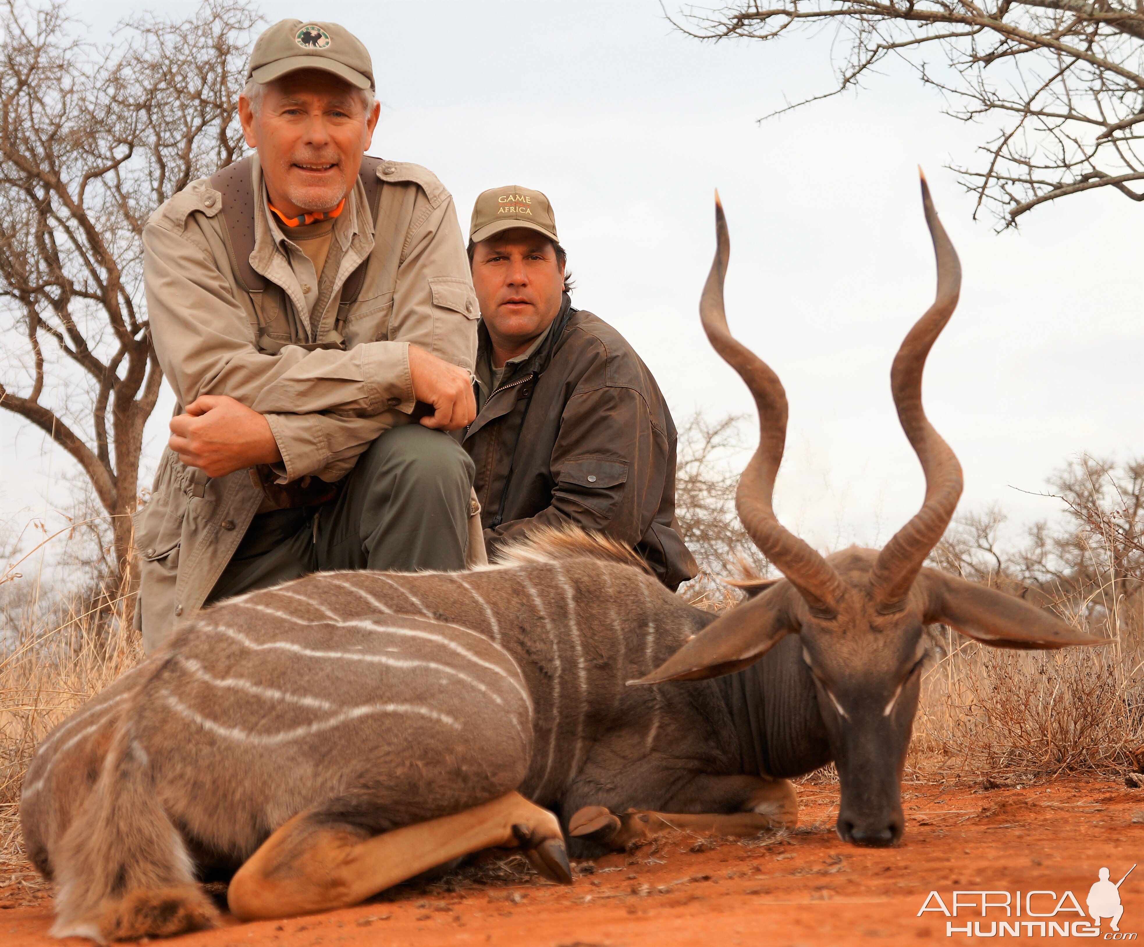 Lesser Kudu Masaailand Tanzania