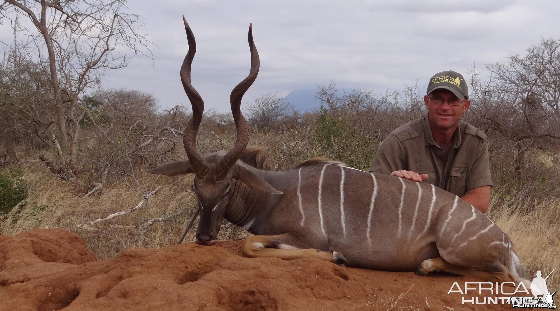 Lesser Kudu Tanzania