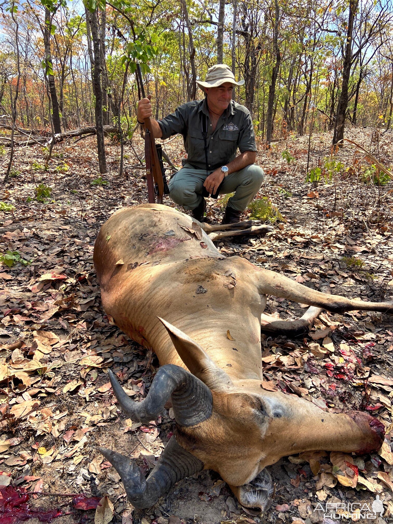 Lichtenstein Hartebeest Hunt Tanzania