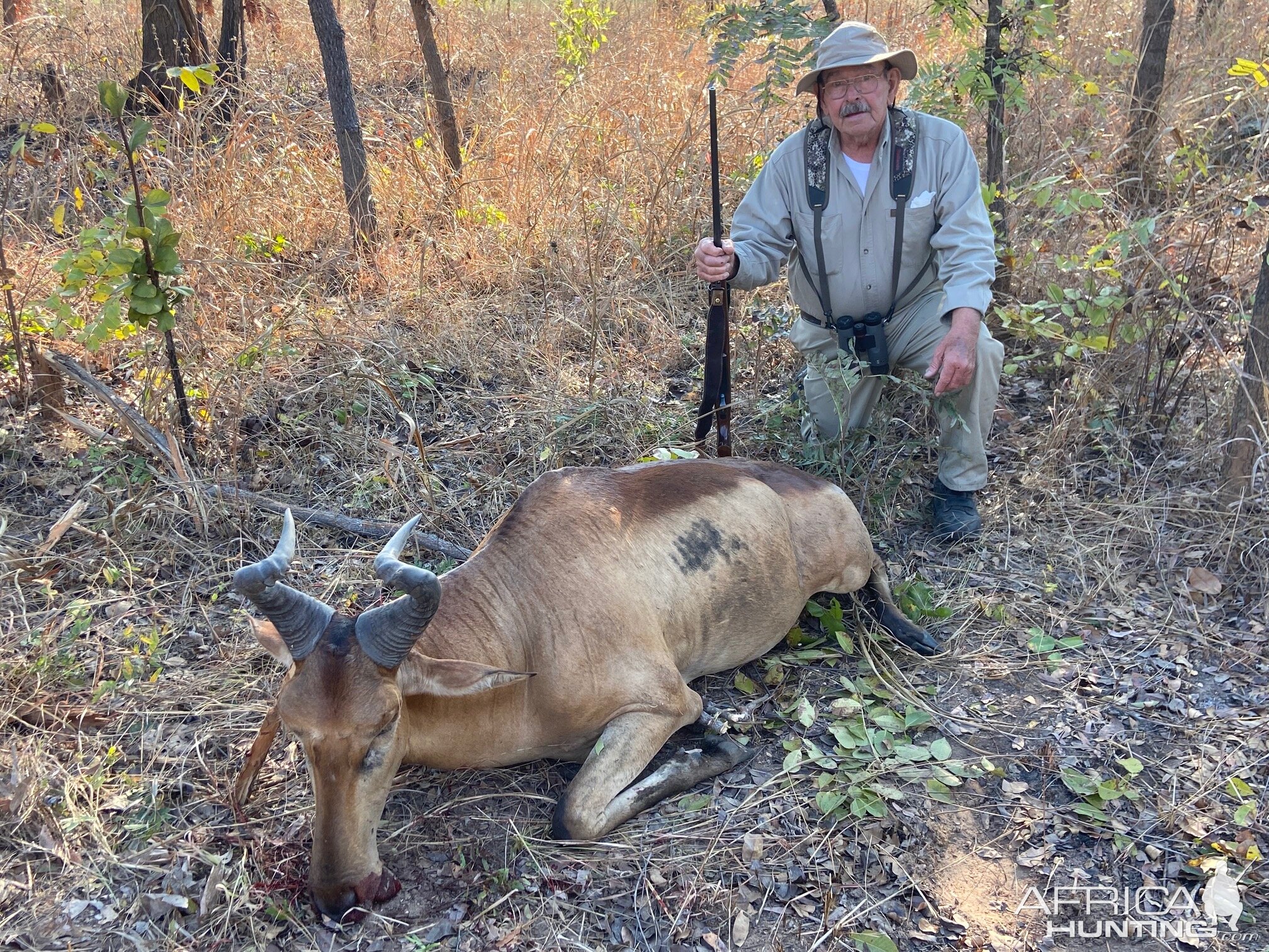 Lichtenstein Hartebeest Hunt Tanzania