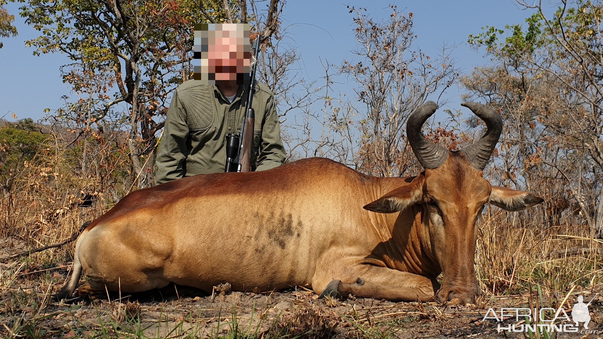 Lichtenstein Hartebeest Hunt Tanzania