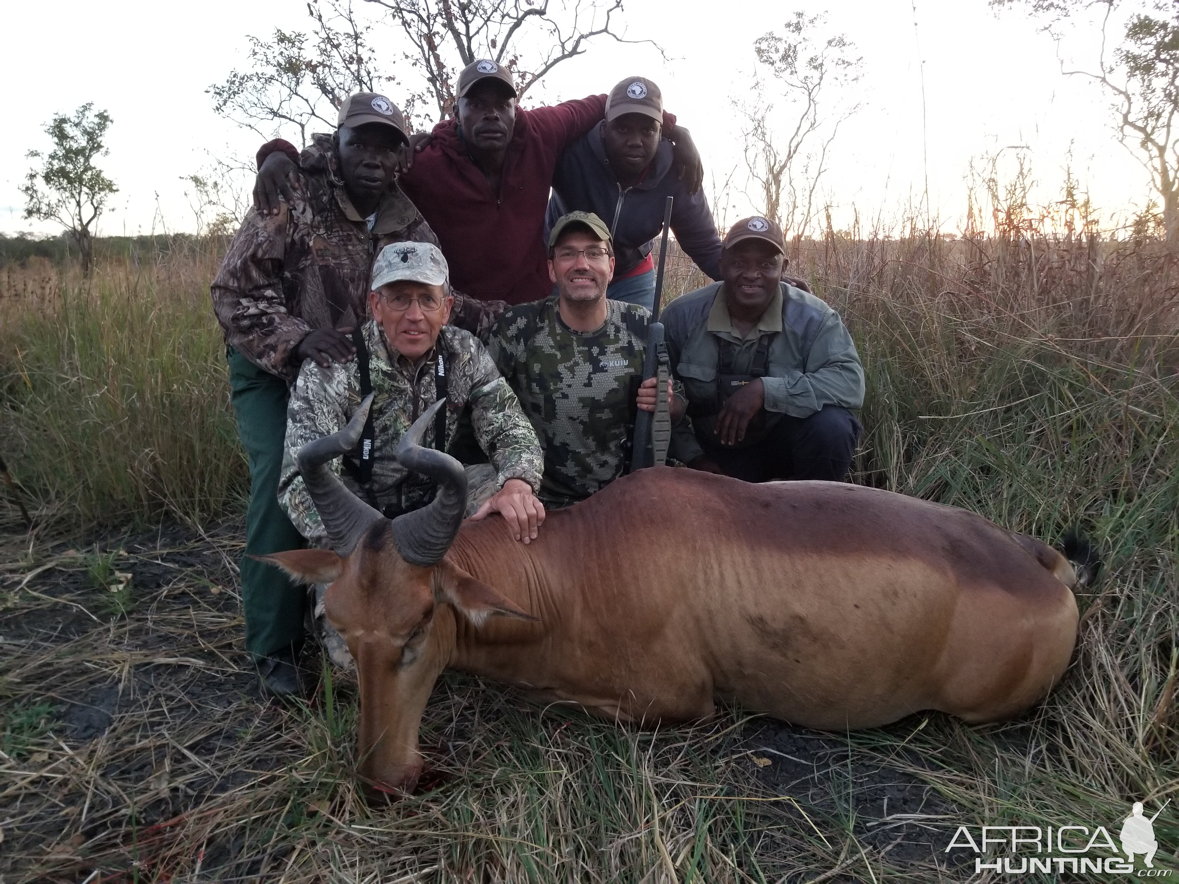 Lichtenstein Hartebeest Hunting in Tanzania