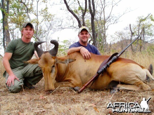 Lichtenstein Hartebeest Mozambique