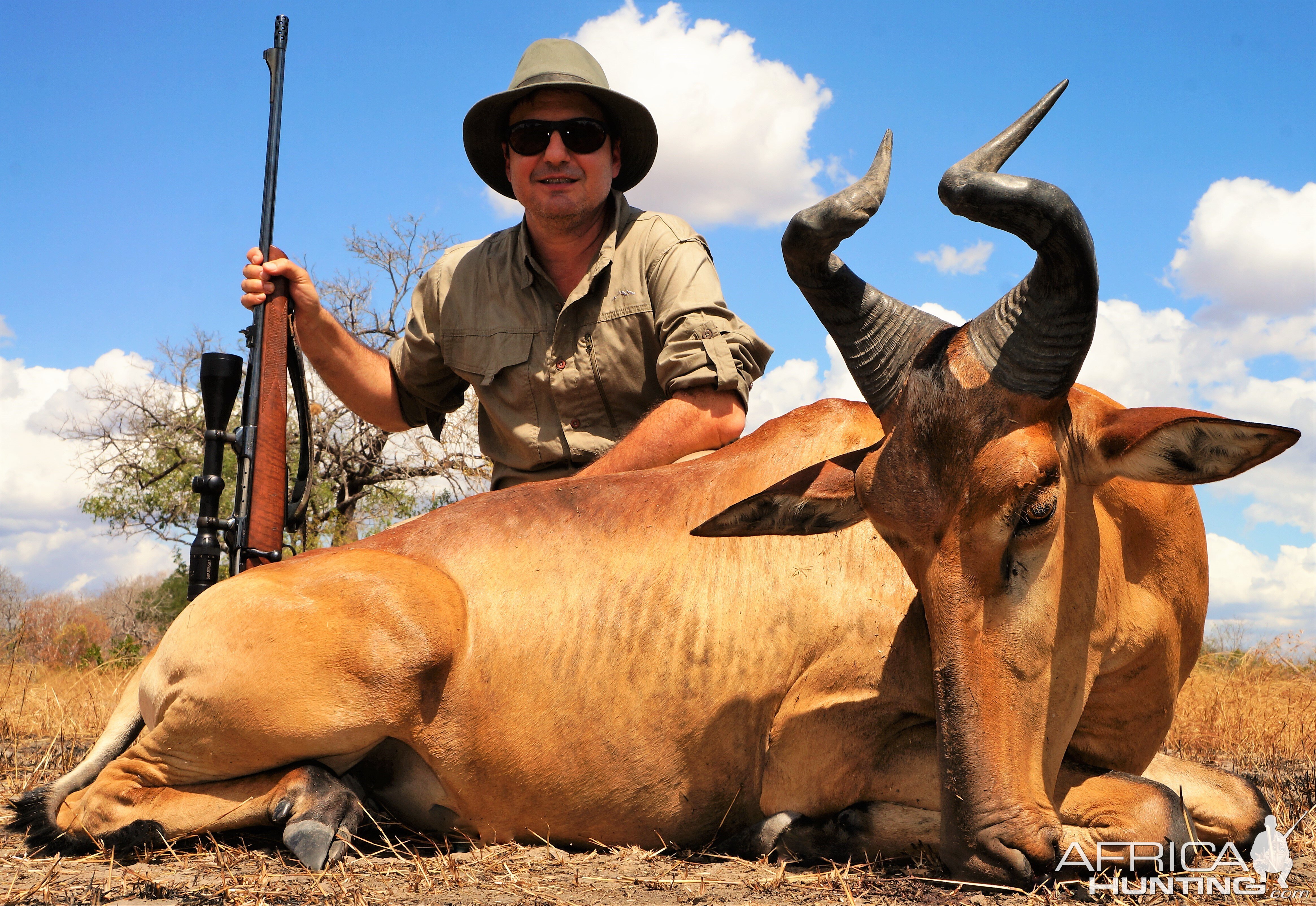 Lichtenstein Hartebeest Tanzania Hunting