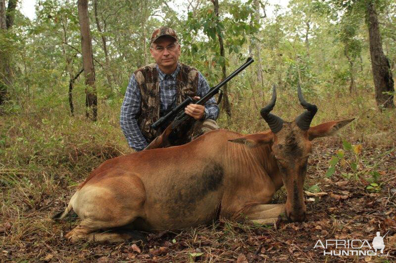 Lichtenstein's Hartebeest Hunt Mozambique