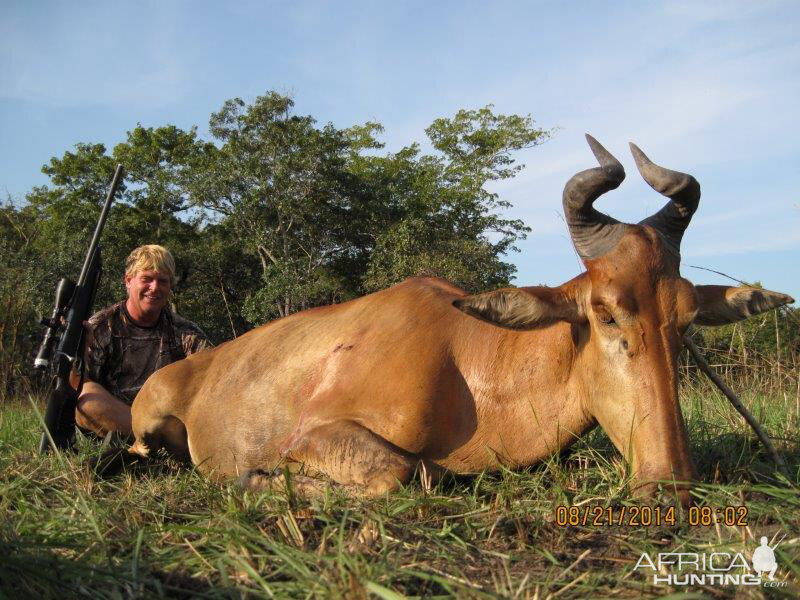 Lichtenstein's Hartebeest Hunt Mozambique