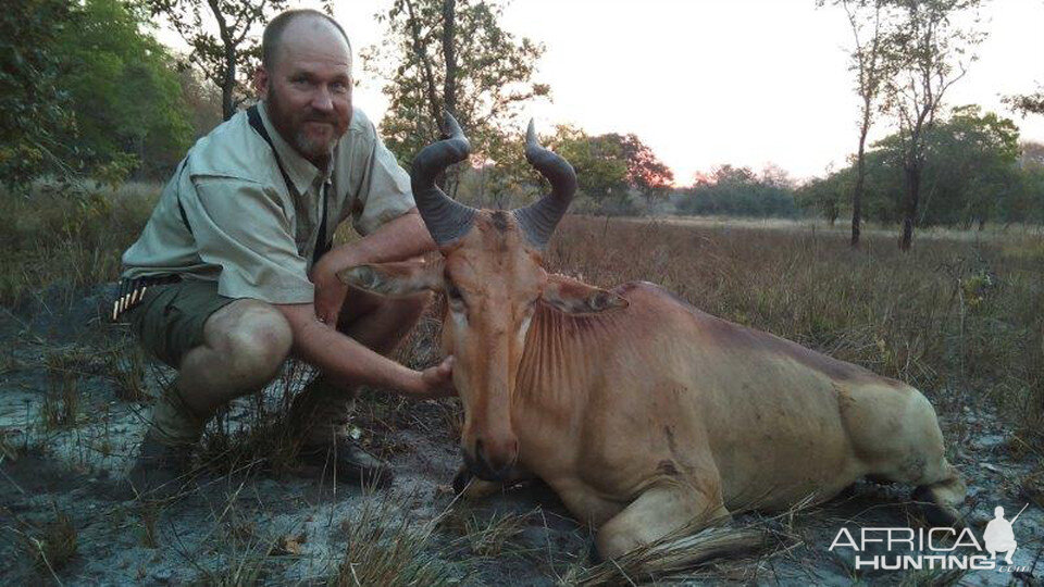 Lichtenstein's Hartebeest Hunt Mozambique