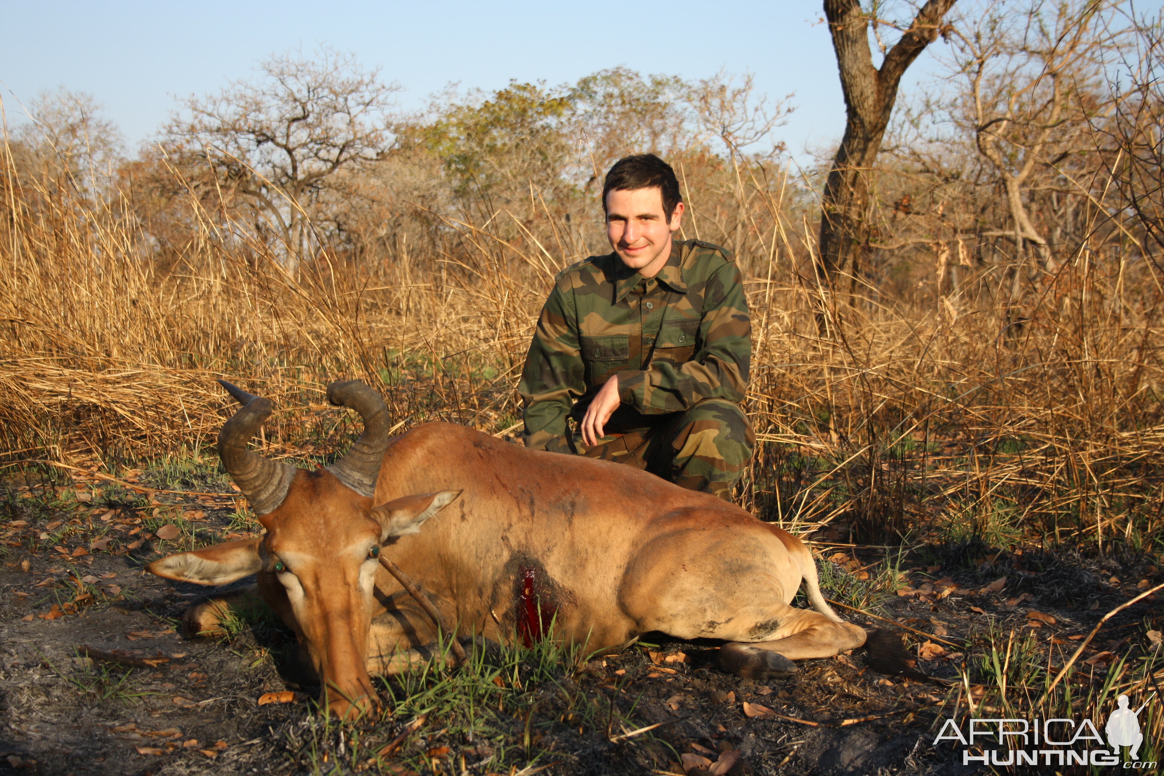 Lichtenstein's Hartebeest Hunt Tanzania