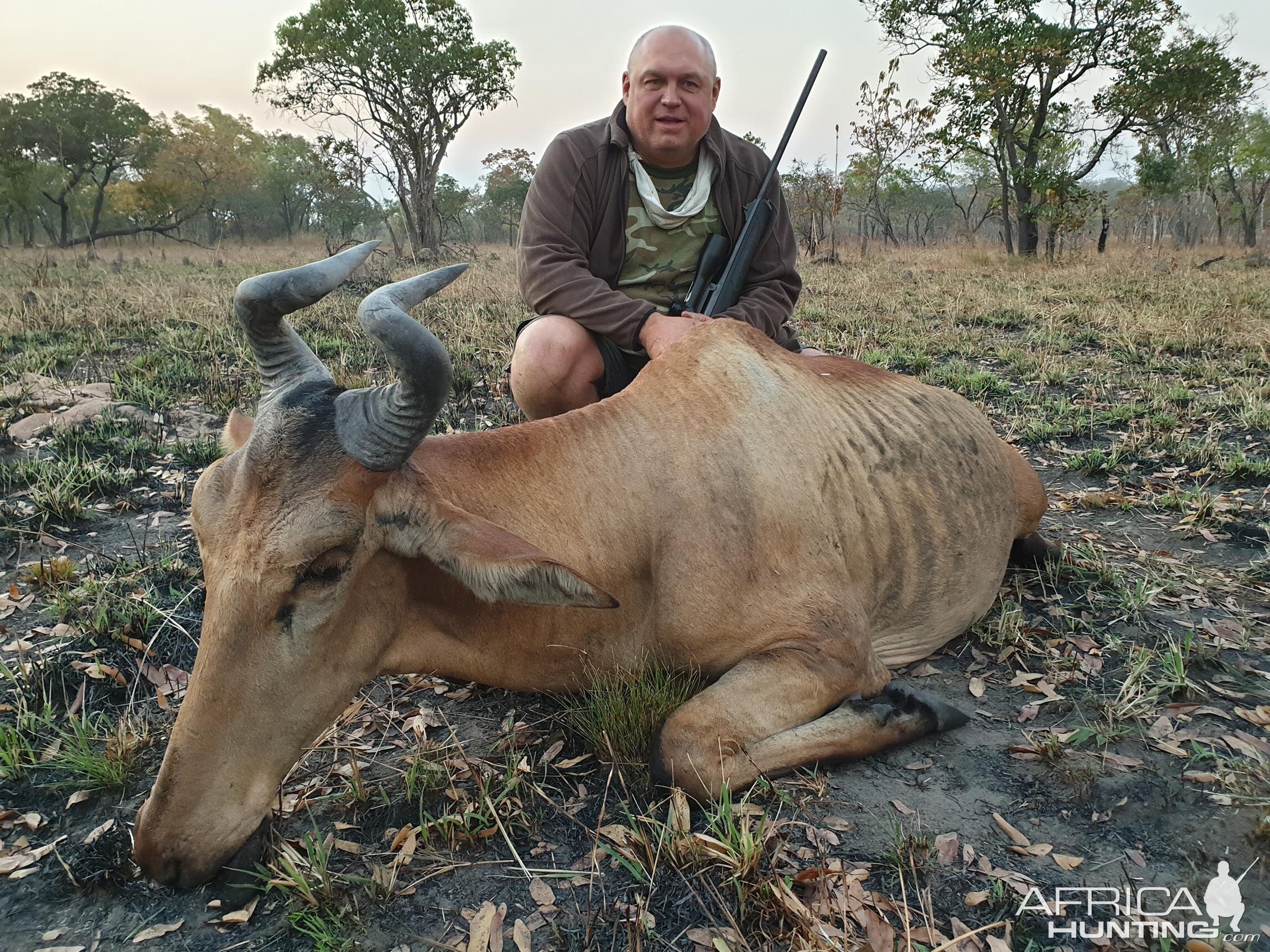 Lichtenstein's Hartebeest Hunting Mozambique