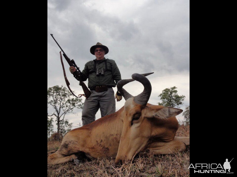 Lichtenstein's  Hartebeest Hunting Tanzania