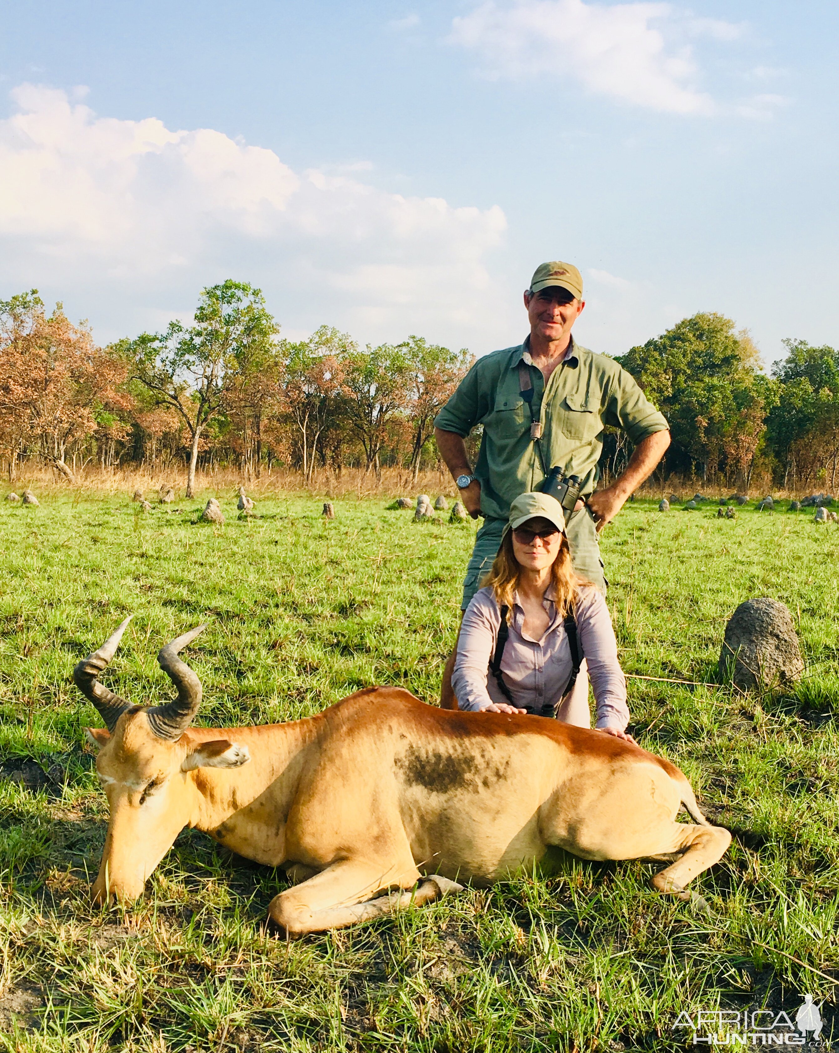 Lichtenstein's Hartebeest Hunting Tanzania