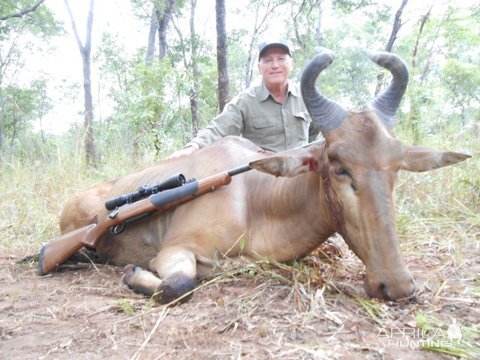 Lichtenstein's Hartebeest Tanzania Hunt