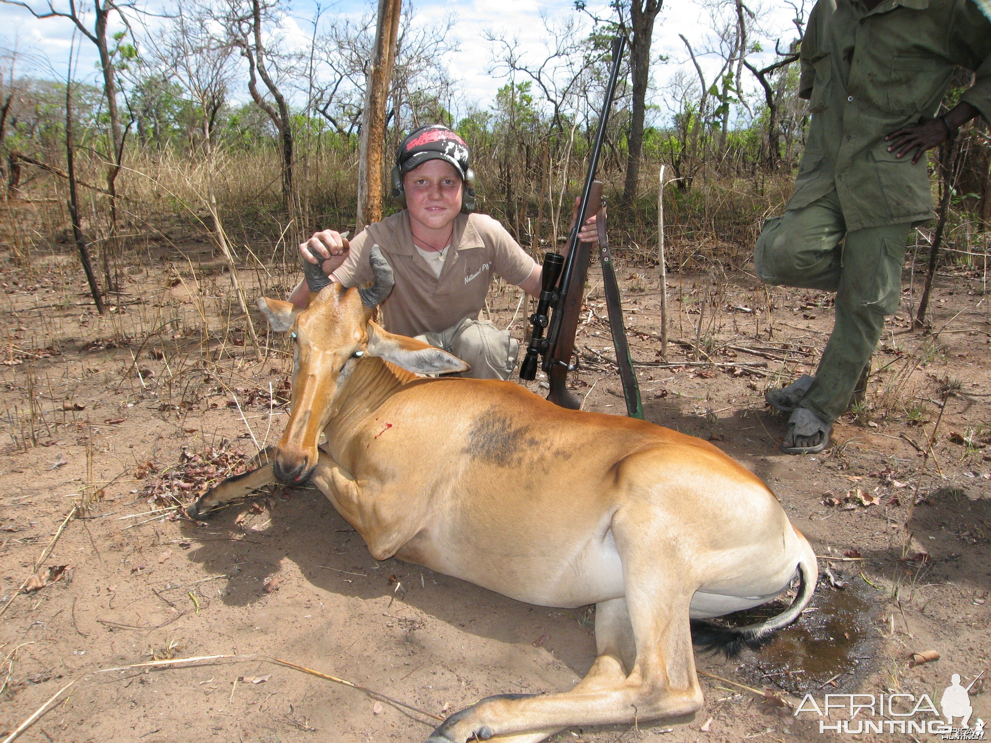 lichtensteins hartebeest