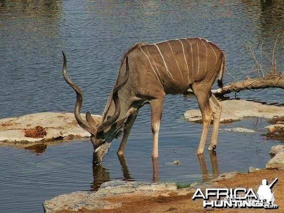 Life on Safari with Spiral Horn Safaris