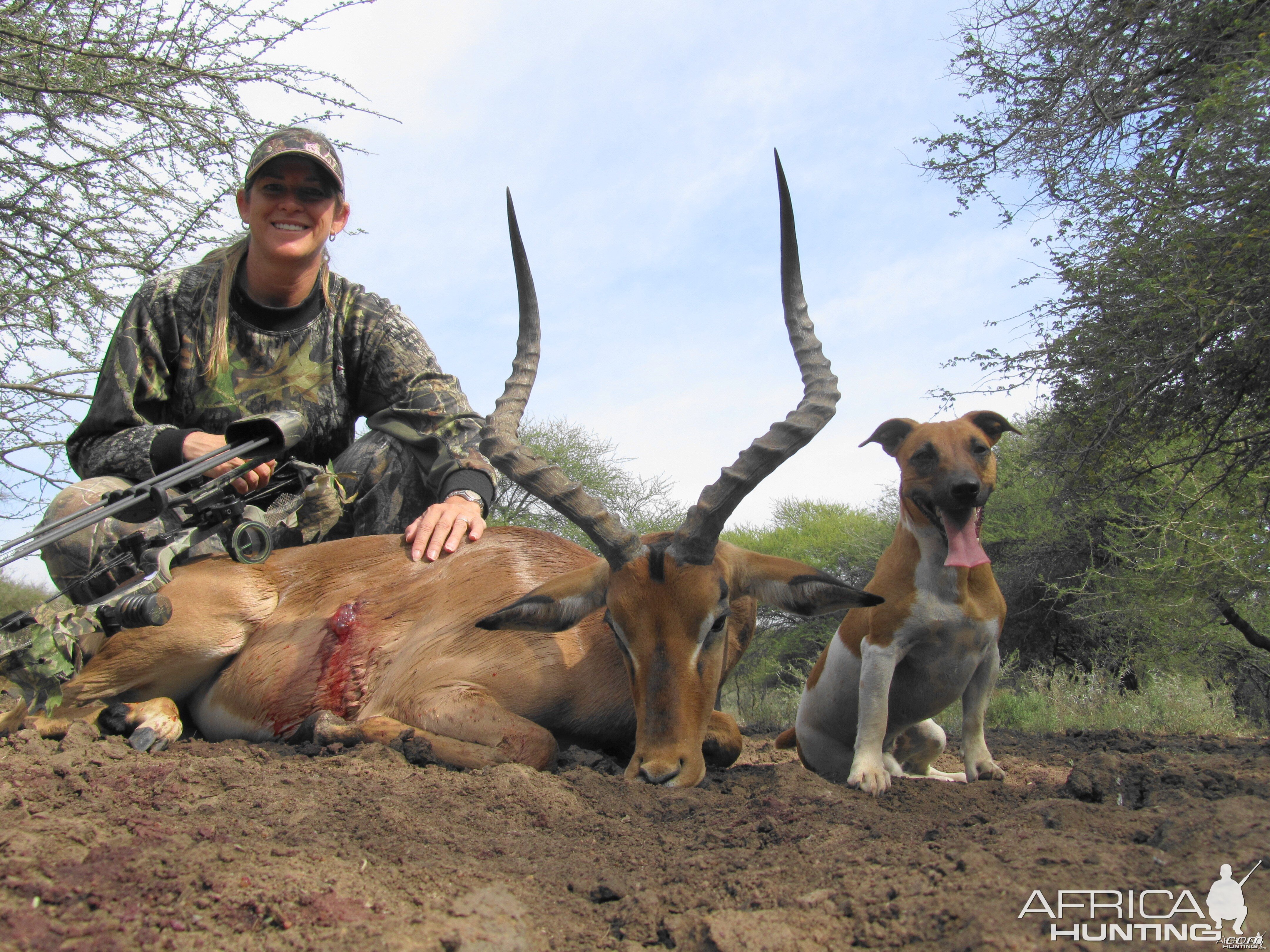 Limcroma Safaris Impala Ram