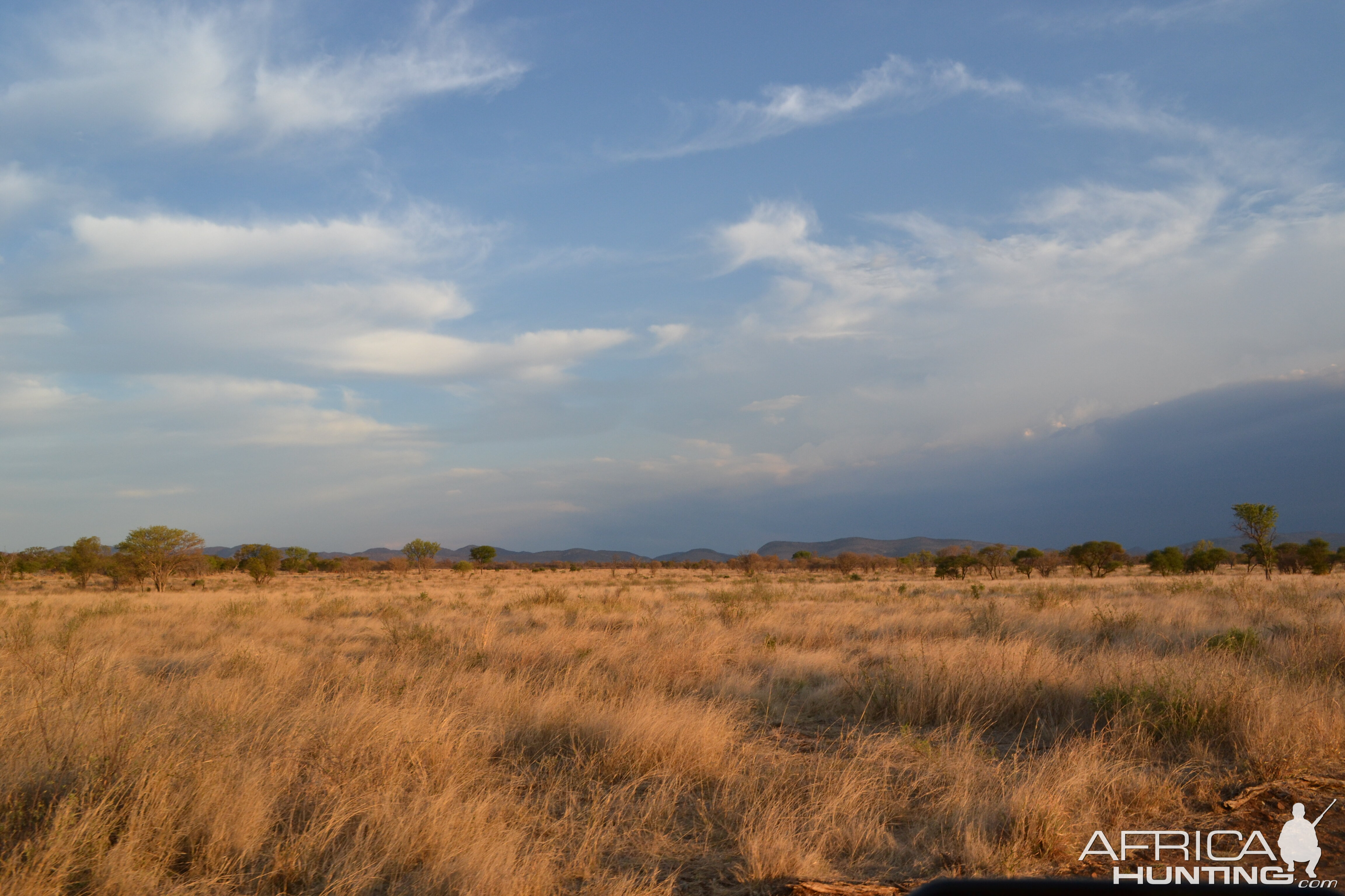 Limpopo Area South Africa