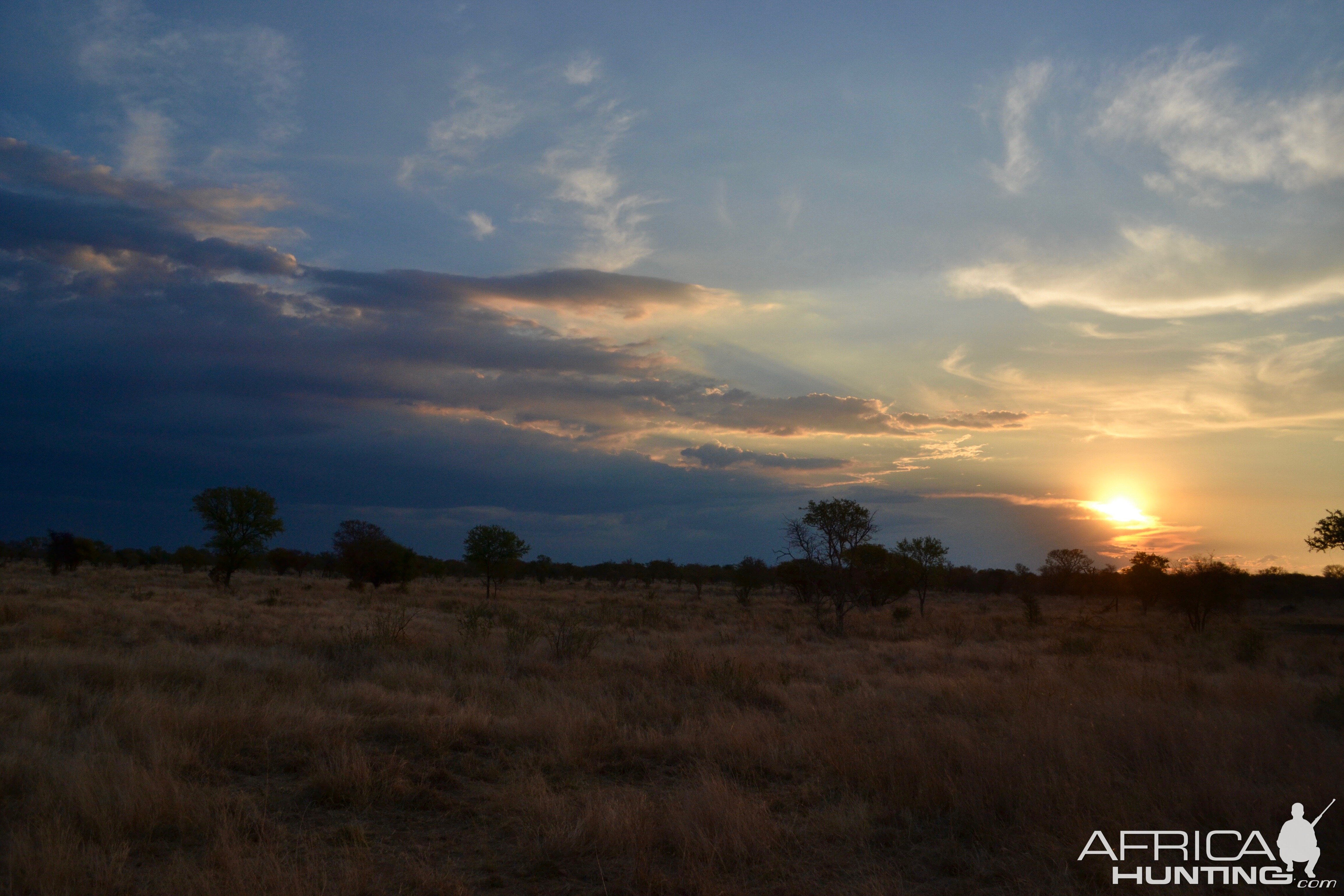 Limpopo Area South Africa