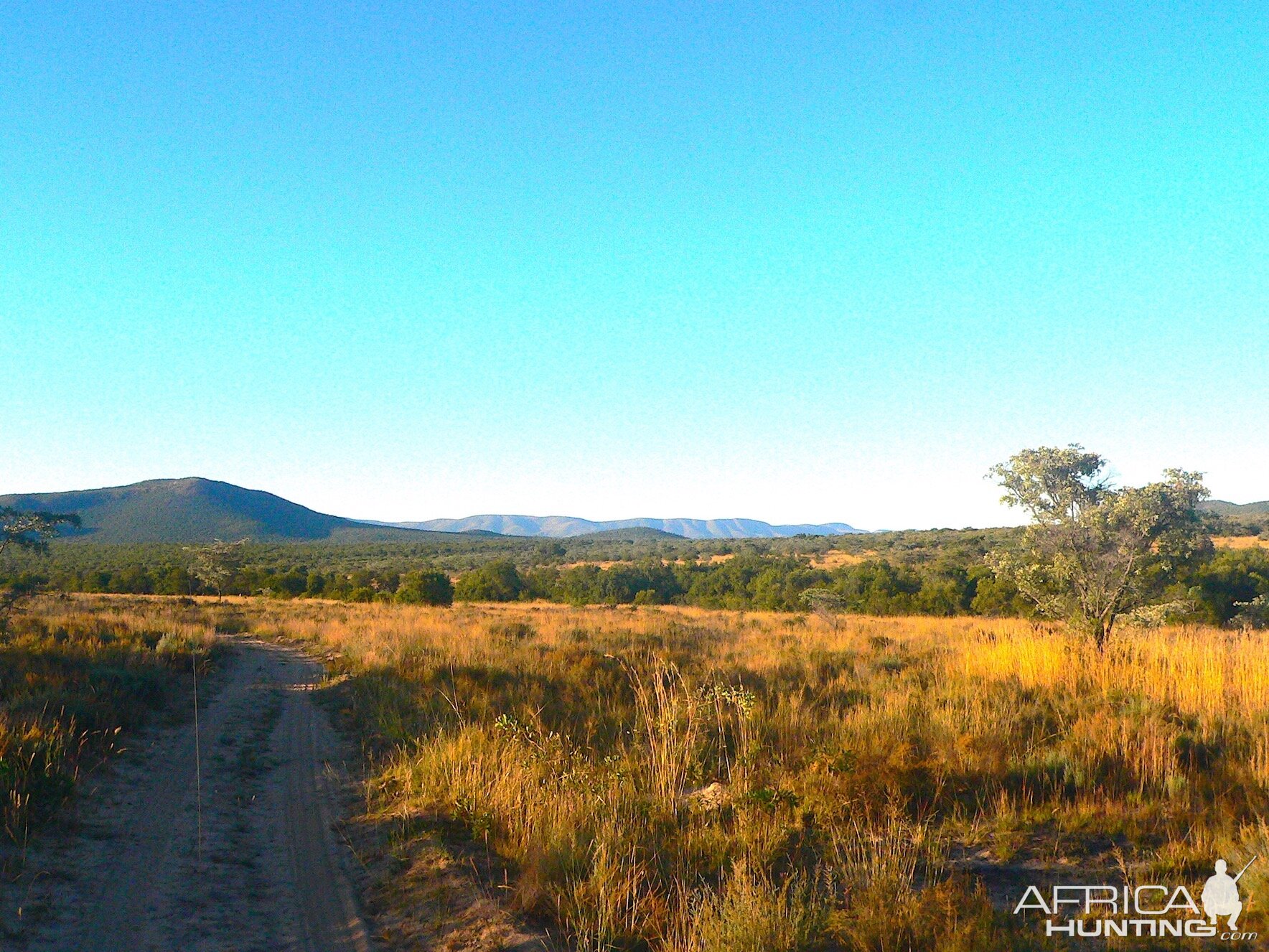 Limpopo Area South Africa