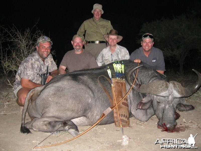 Limpopo Big Game Safaris Cape Buffalo