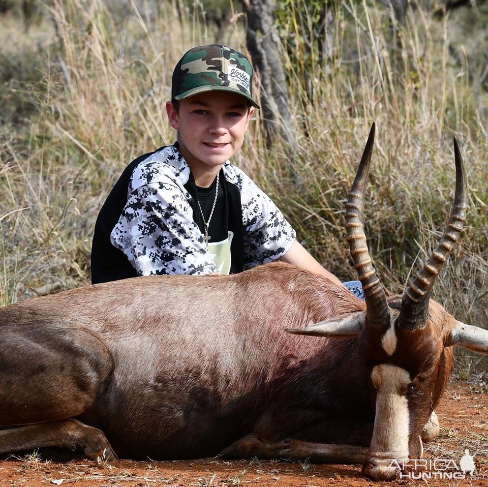 Limpopo Blesbok