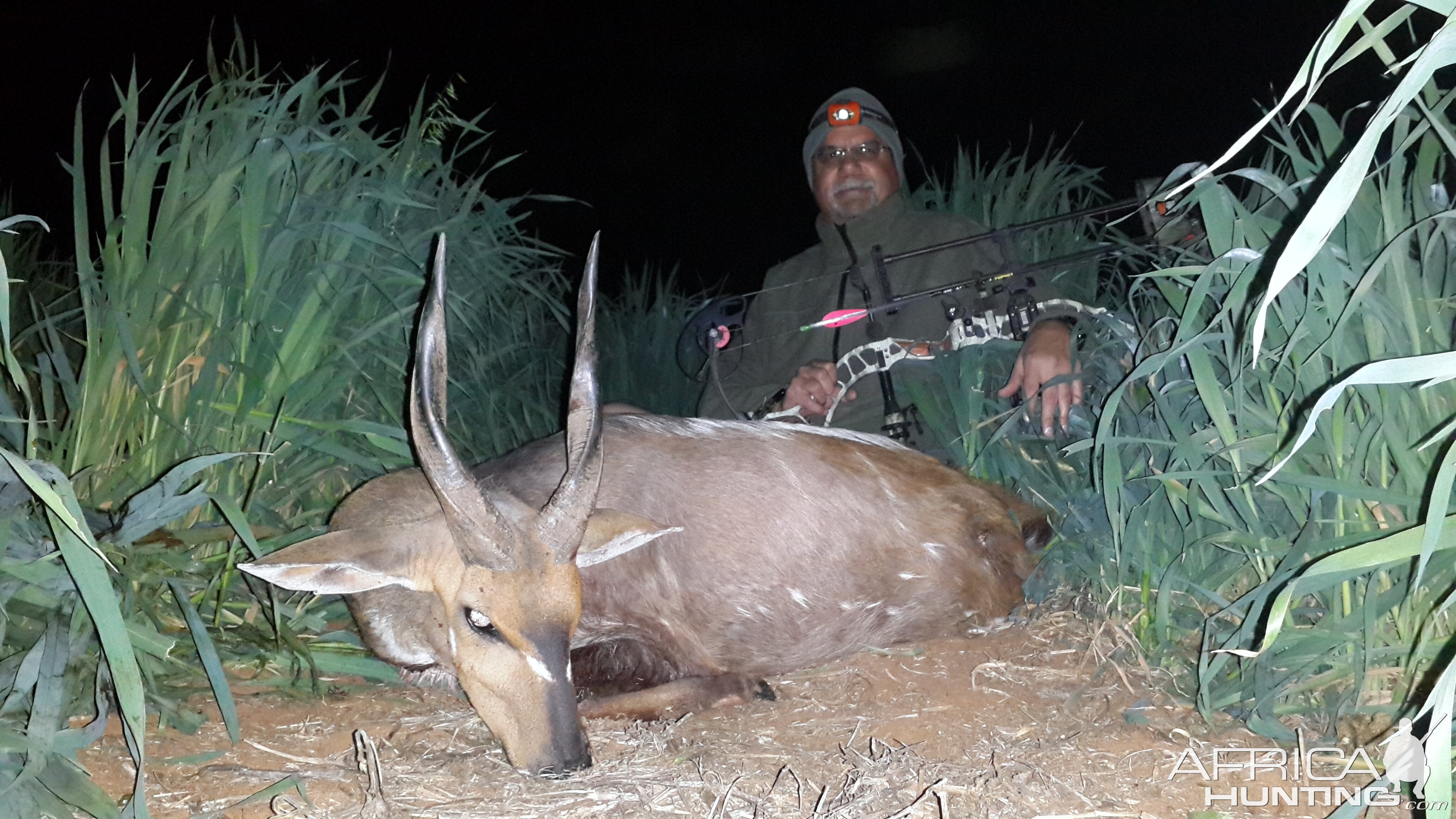 Limpopo Bushbuck with Limcroma Safaris