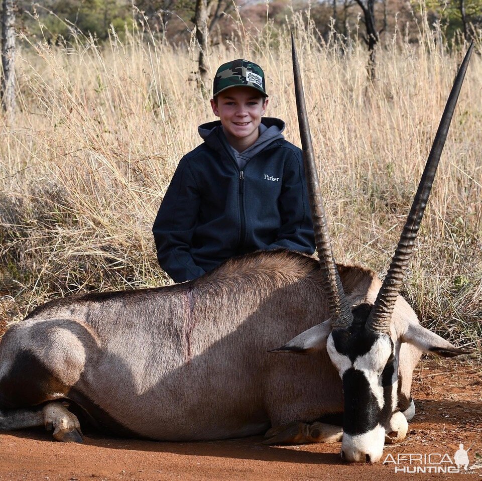 Limpopo Gemsbok