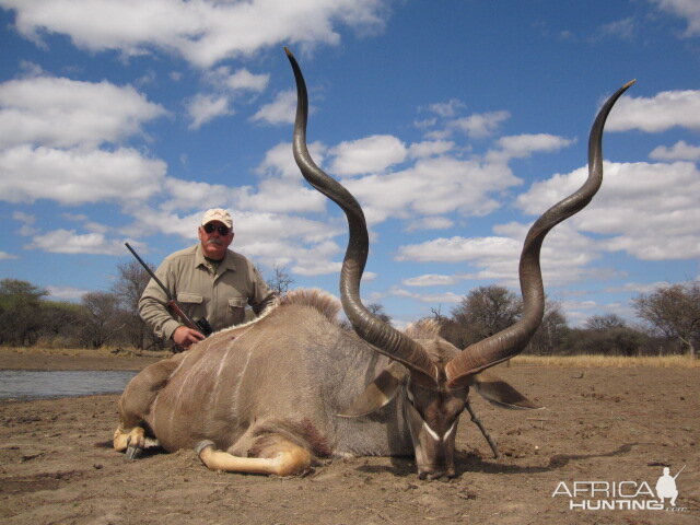 Limpopo Kudu