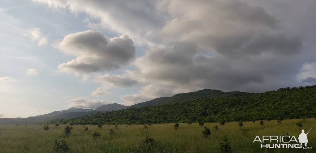 Limpopo Nature South Africa