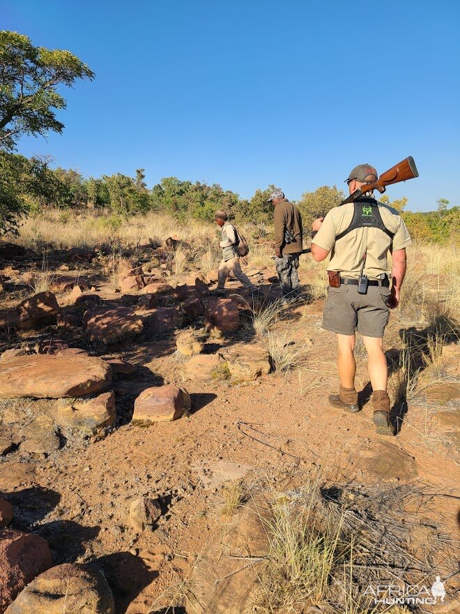 Limpopo Nature South Africa