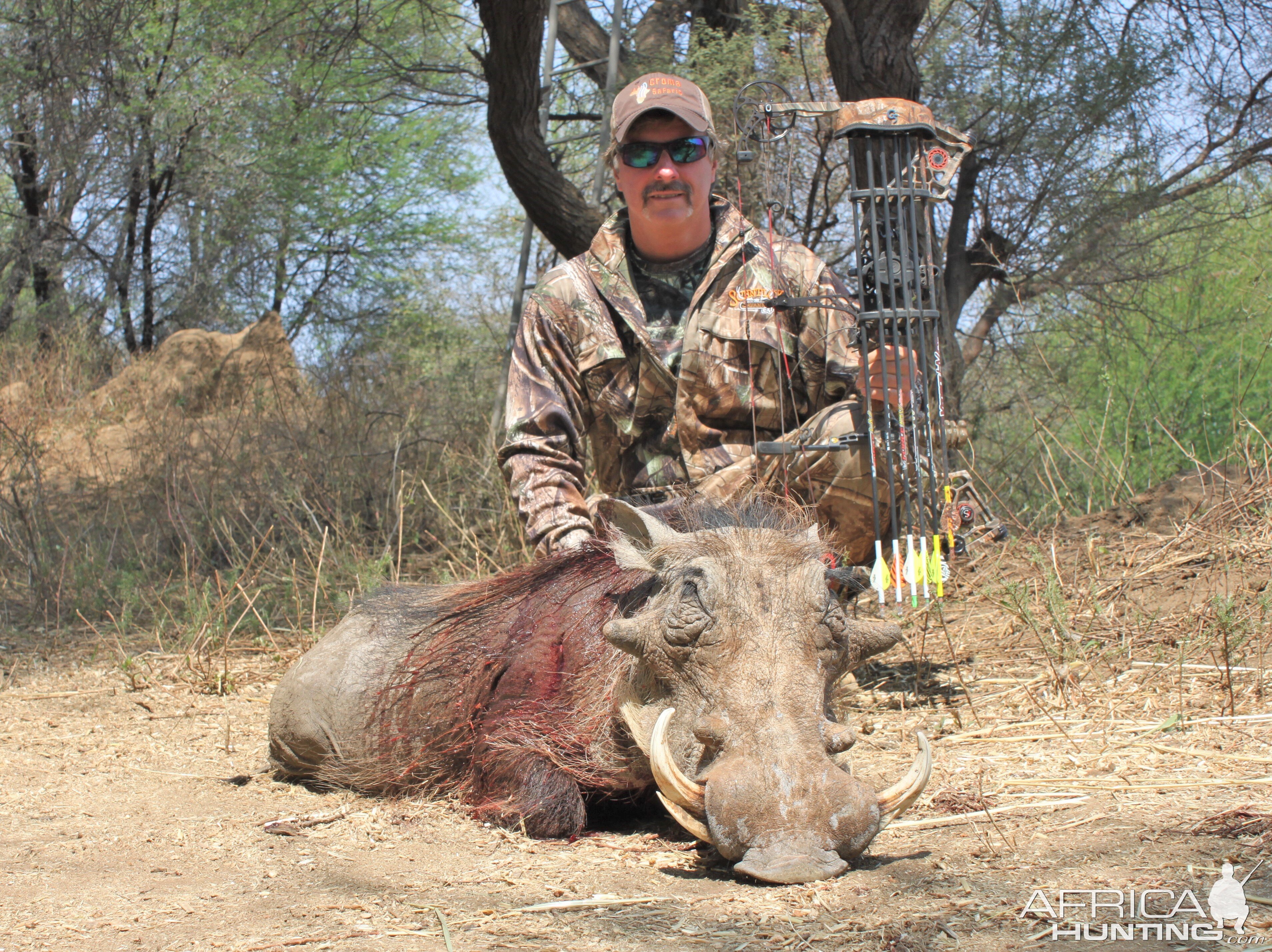 Limpopo River warthog Limcroma Safaris 2015