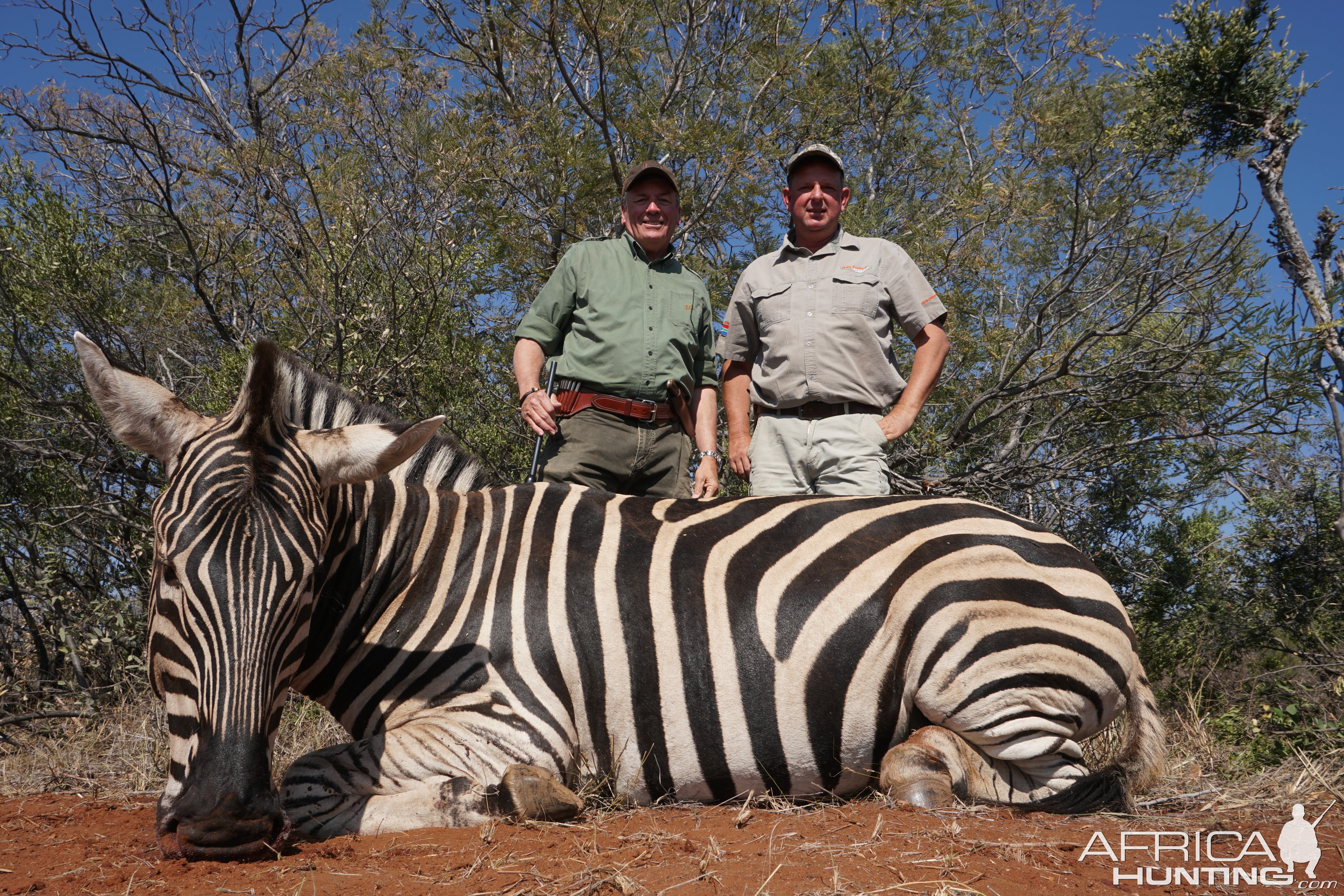 Limpopo Stallion with Phillip Bronkhorst