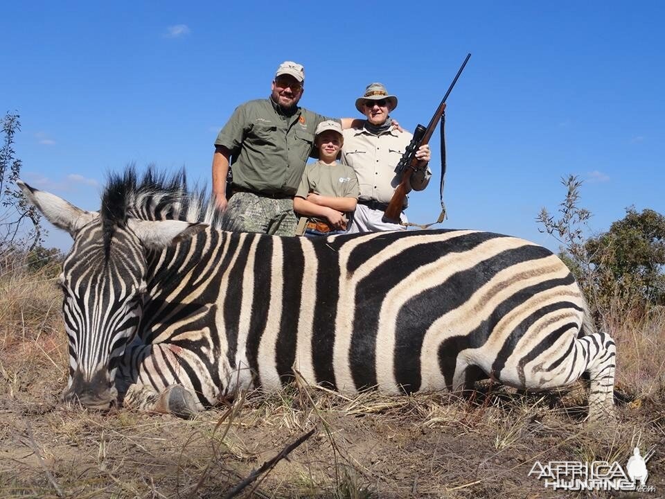 Limpopo Zebra