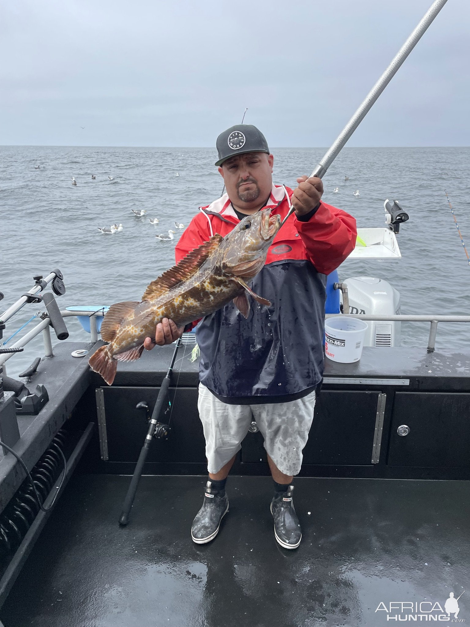 Lingcod Fishing San Francisco