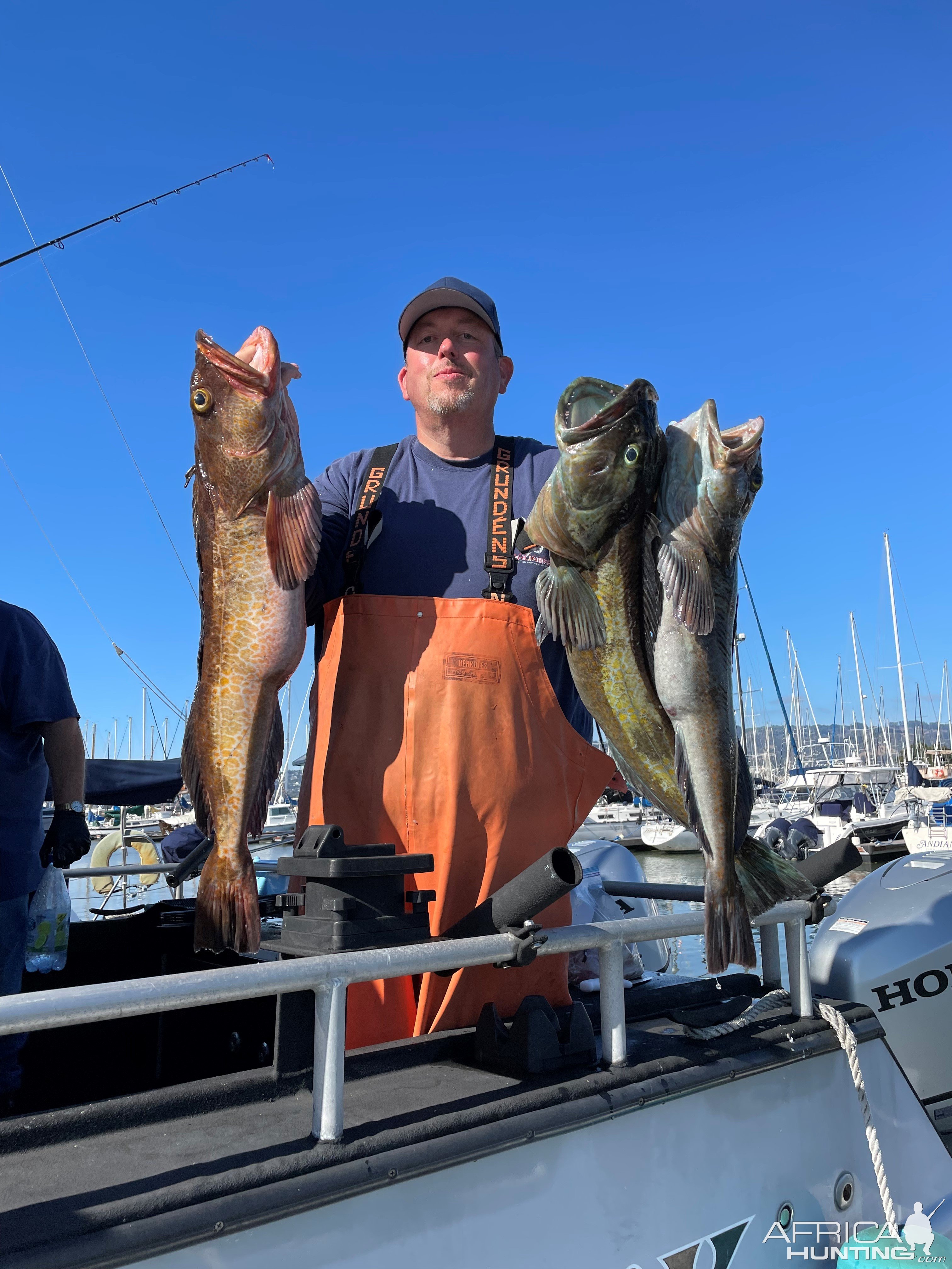 Lingcod Fishing San Francisco