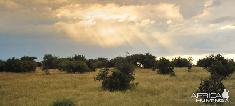 Linksfontein Area