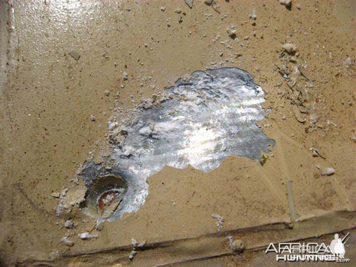 Lion Attack - Damage to the vehicle's paint and body from the Lion's claws