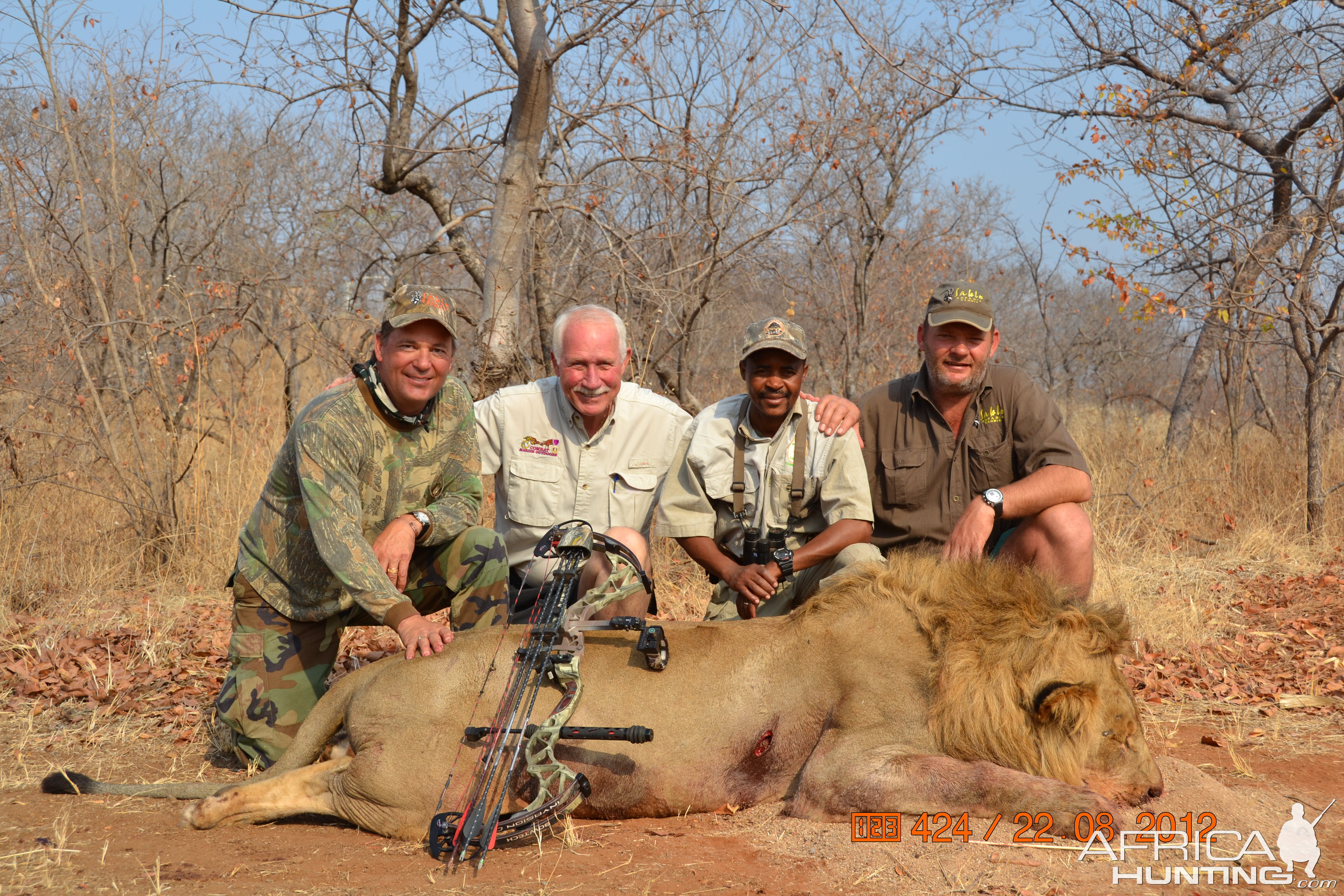 Lion Bow Hunt