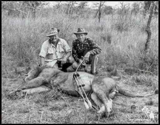 Lion Bow Hunt